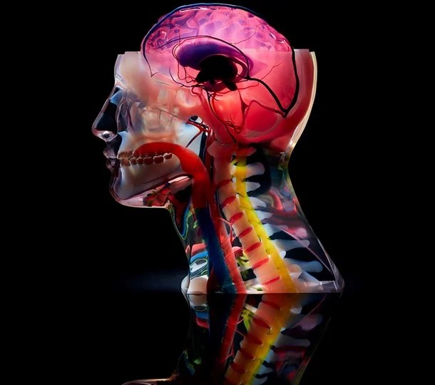 j750dapsection1000x1000px0819d